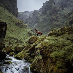 Meet your Posher, Jesus